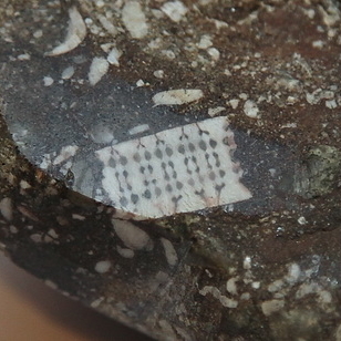 Камень с чипом