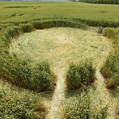 Загадочные круги на полях 45-й параллели