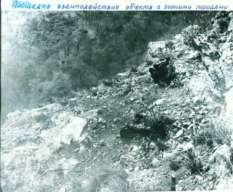 Расплавленный пень